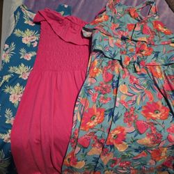 Summer Dresses