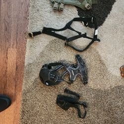 Dog Harness(3), Muzzle