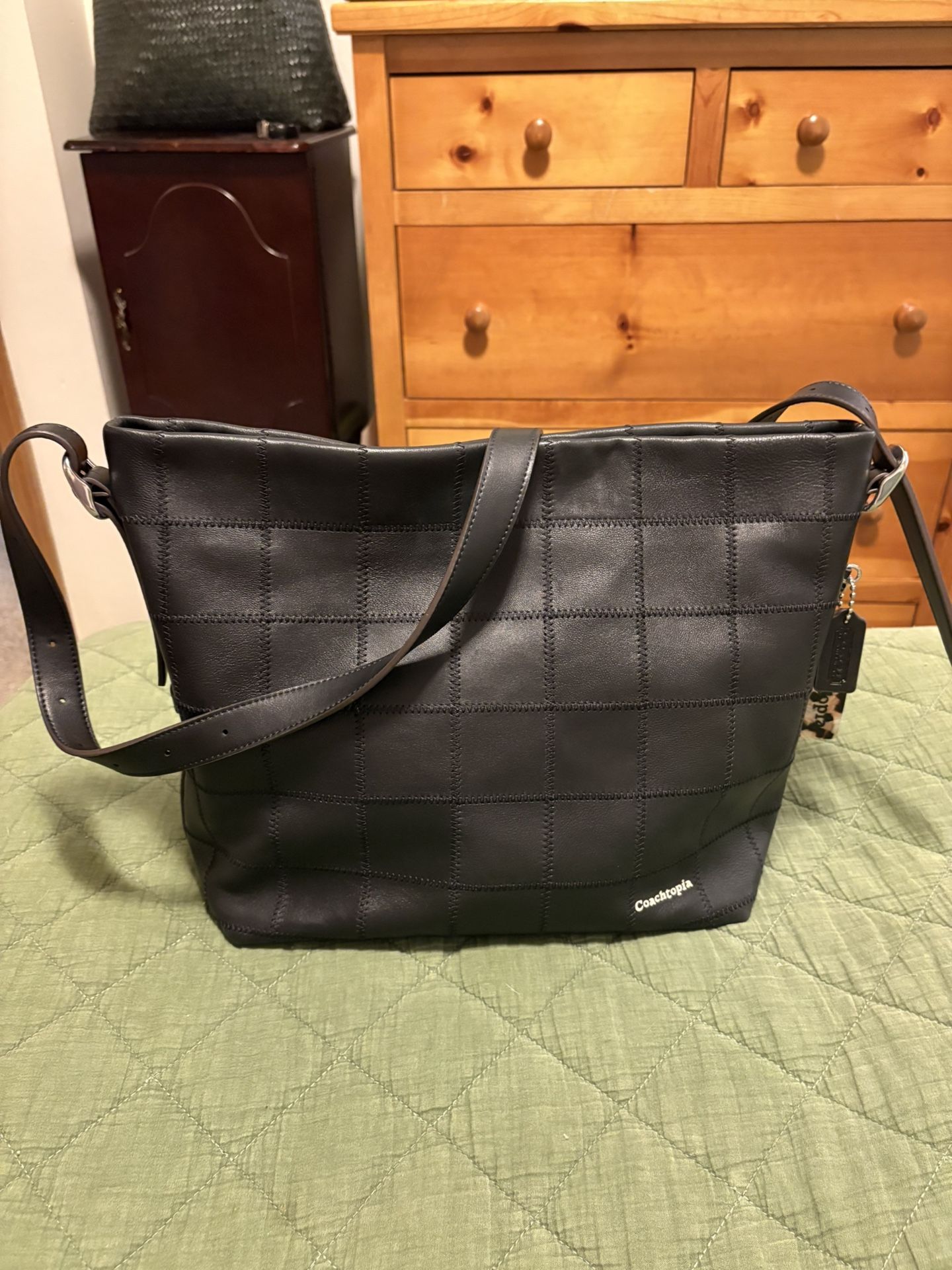 Coach / Coachtopia Alter Ego Hobo Bag