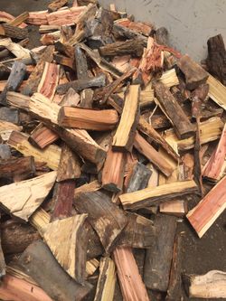 Dry Firewood Ready To Burn