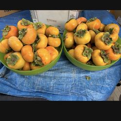 Persimmons