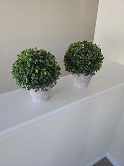Free Accent Plant Pots