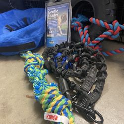 Dog Toys & Accessories 