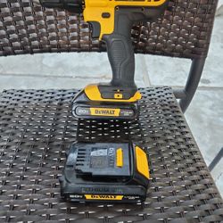Dewalt 20v Drill Driver With 2 Batteries