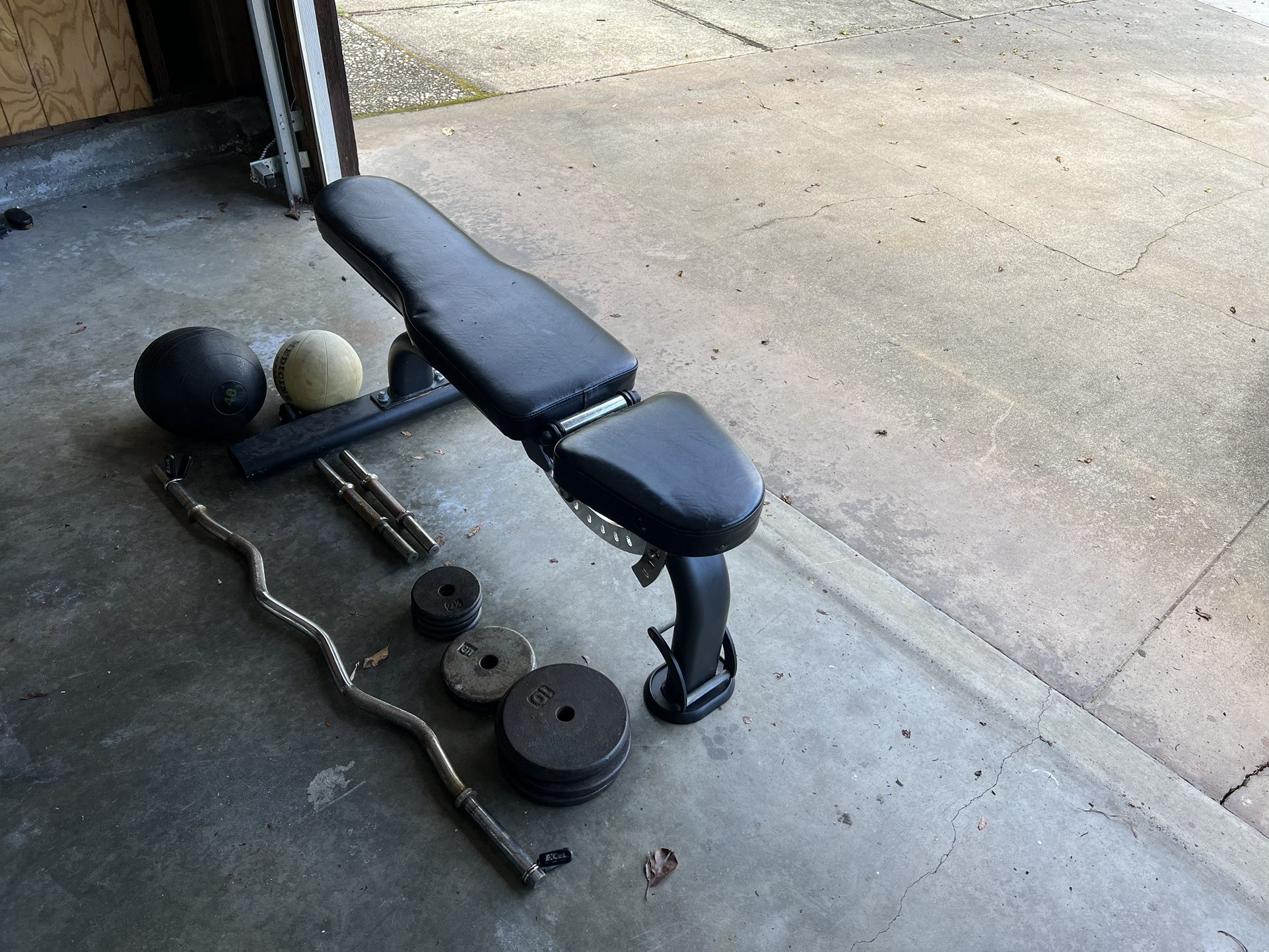 Utility Bench w/ Weights