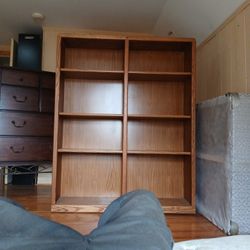 Book Case/Entertainment Center