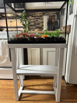 20 Gallon Tank With deco And A Fish