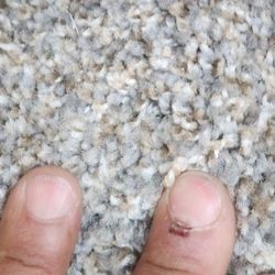 Carpet For Sale
