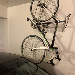 Fuji Carbon Fiber Race Bike