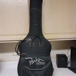 Custom Parker guitar toad case