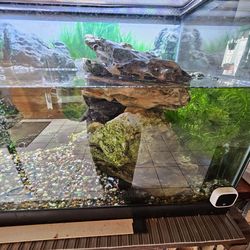 40 gallon & Aquarium Setup  + Equipment