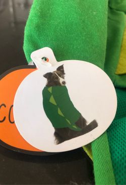 Pet Halloween costume (medium)