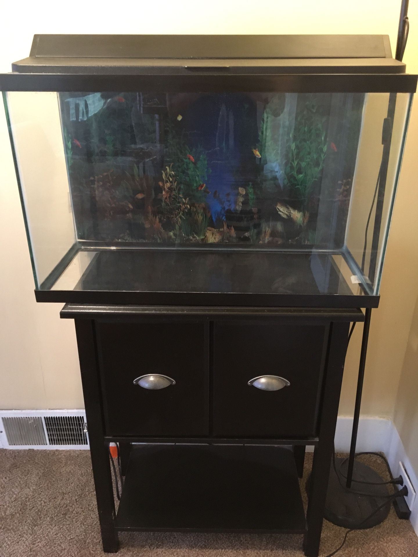 29 gallon fish tank & Stand