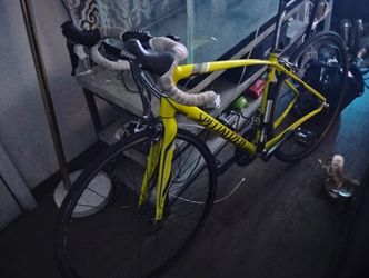 Dolce Specialized Racing Bike