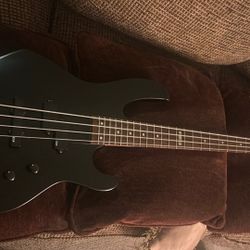 LTD Guitar