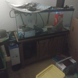 75 Gallon Aquarium With Stand And Accessories 