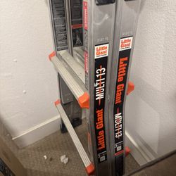 Little Giant Ladder 13 Ft