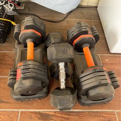 Bench and dumbells