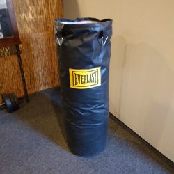 Everlast Punching Bag 