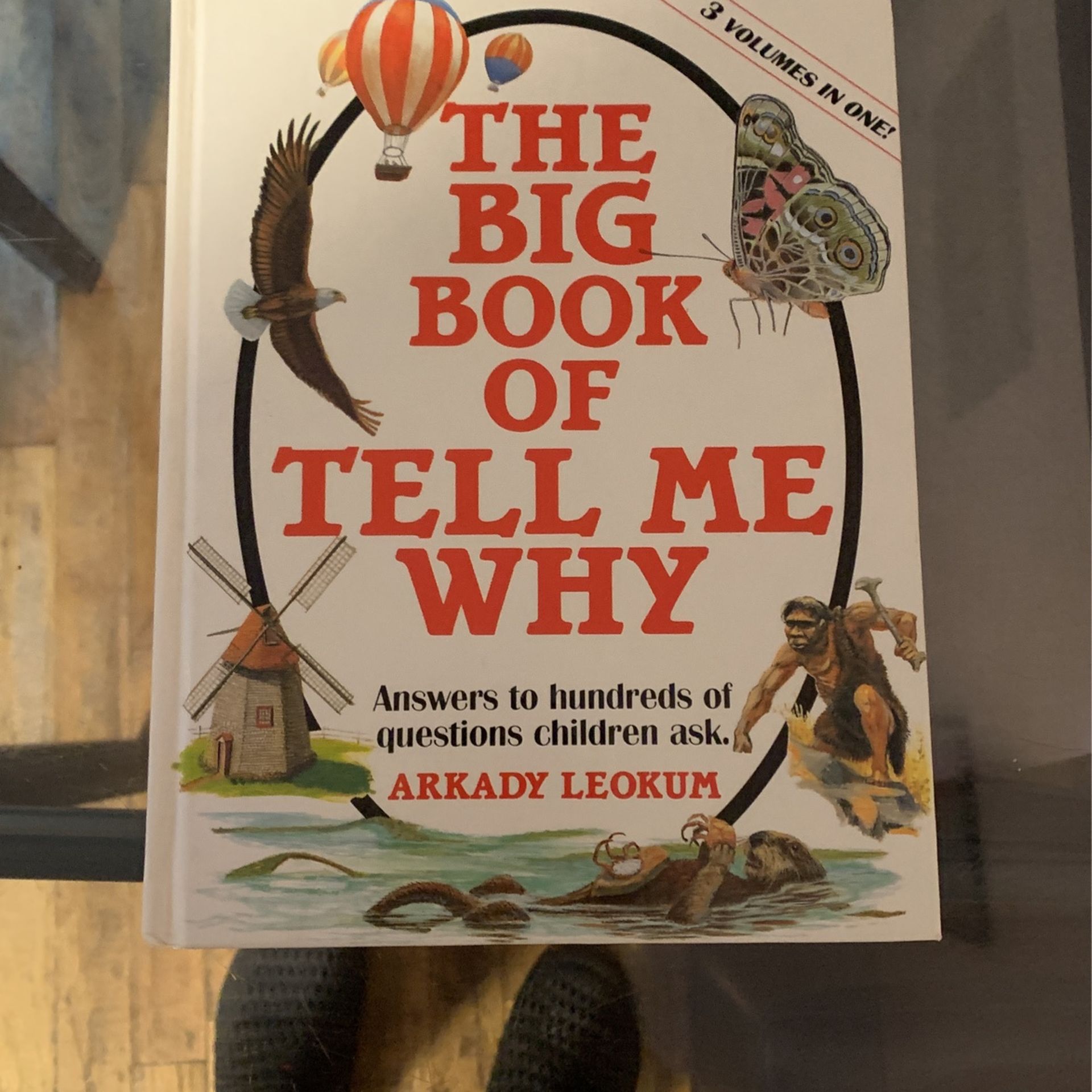 The Big Book of Tell Me Why: Answers by Arkady Leokum