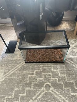 10 gallon tank and lid  10$