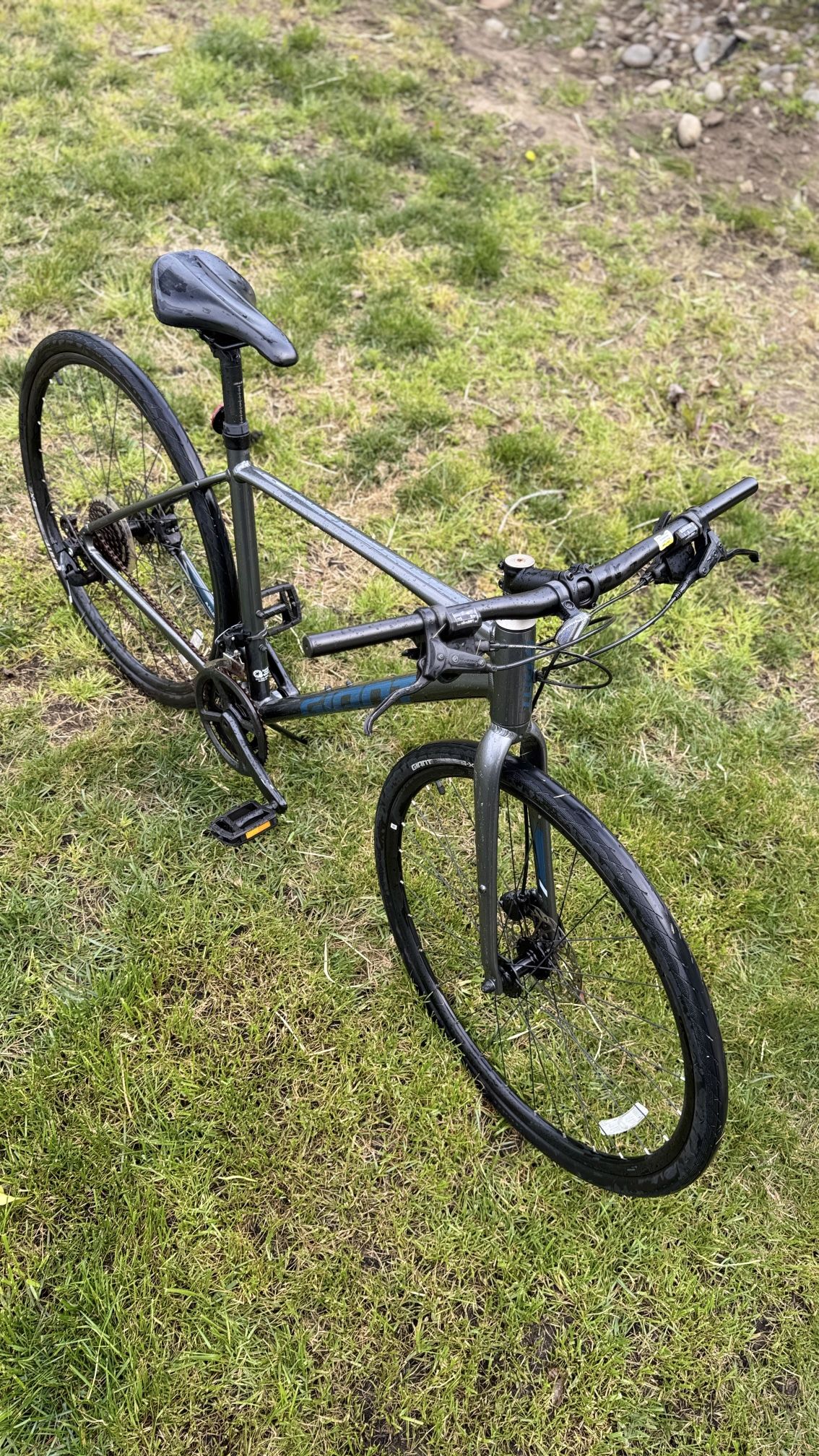Giant Escape Disc 2 Bike