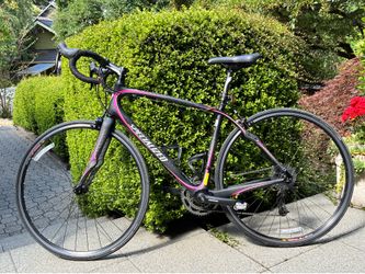 Specialized Ruby Elite Carbon Fiber Bike Bicycle