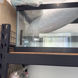 60 gallon fish tank