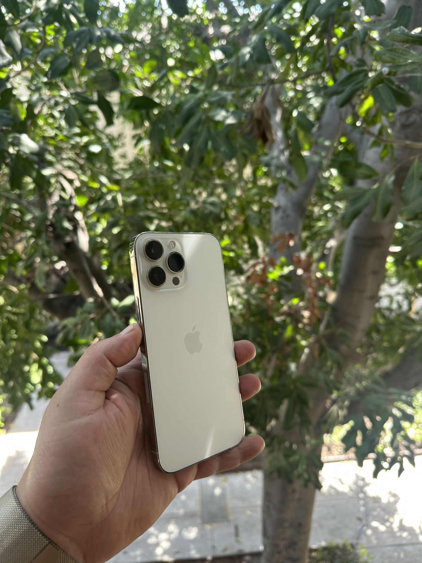 iPhone 13 Pro Max 256 Gb Unlocked