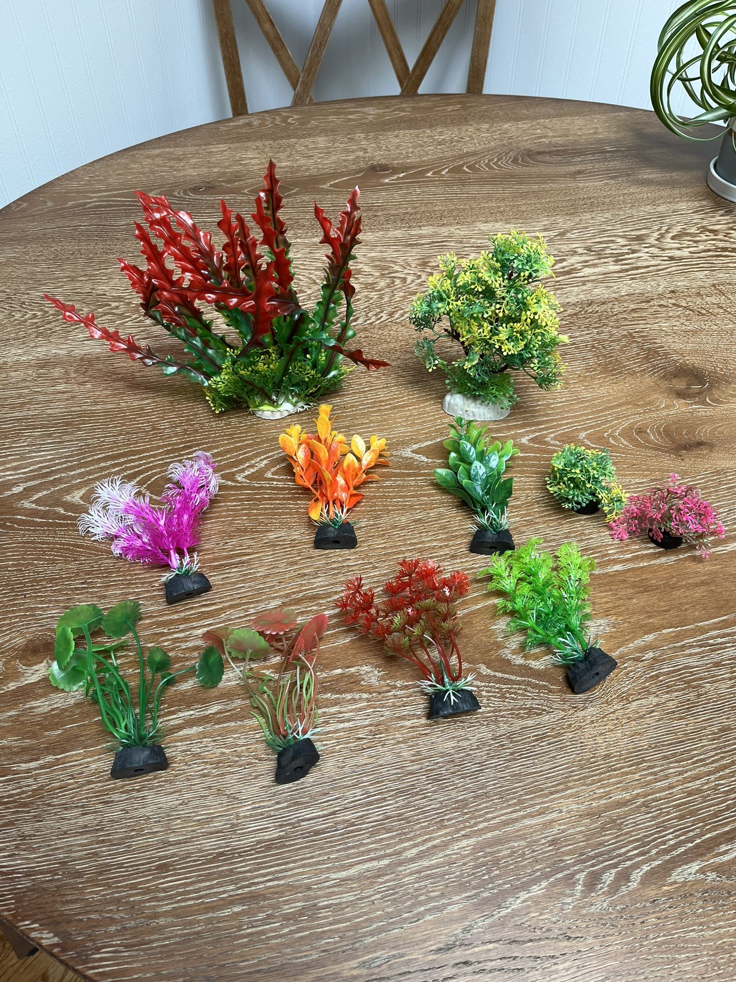 Aquarium Decorations