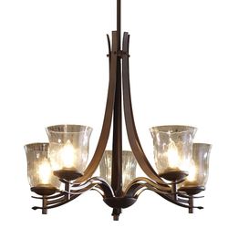Allen Roth 5 Light Chandelier 
