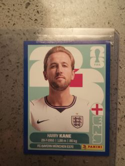 Panini FIFA World Cup Stickers
