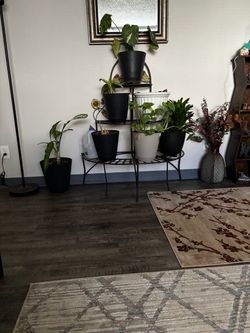 Plant stand