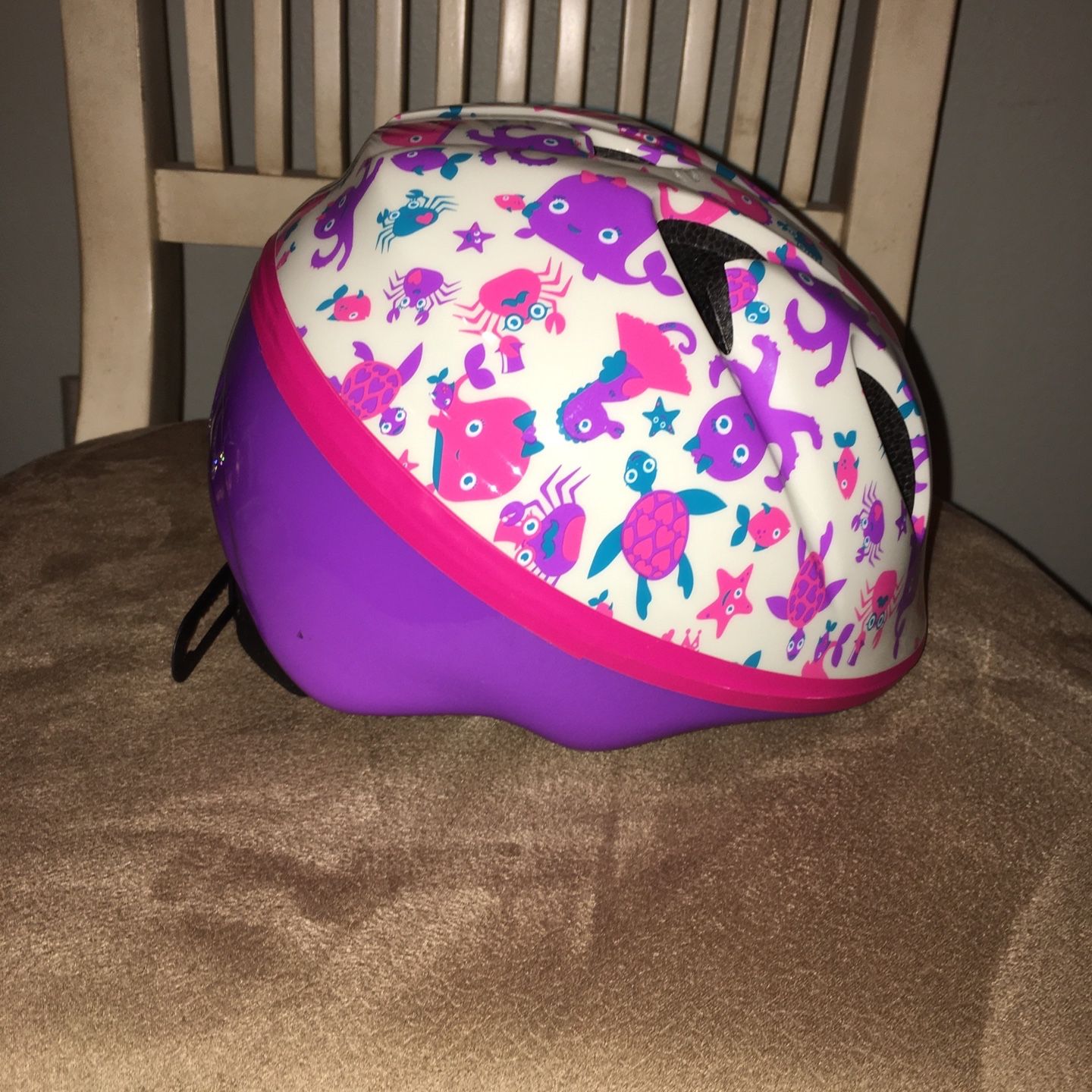 SCHWINN Friend Of The Sea NEW GO #Tampa Bay Lightning