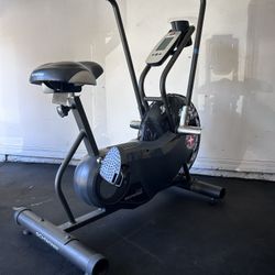 Scwhinn AD6 Fan / Assault Bike