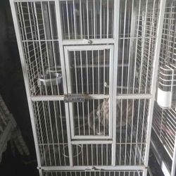 PARROT CAGE