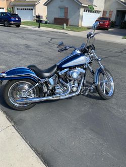 2000 Harley Davidson softail