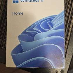 Windows 11