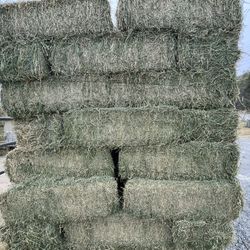 Shipment! Horse Quality Hay 
