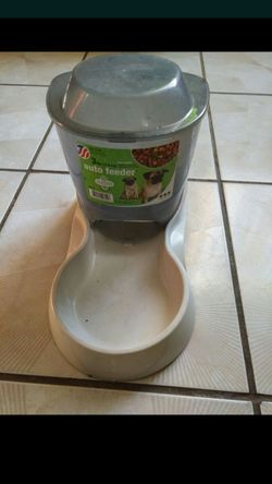 Dog auto feeder