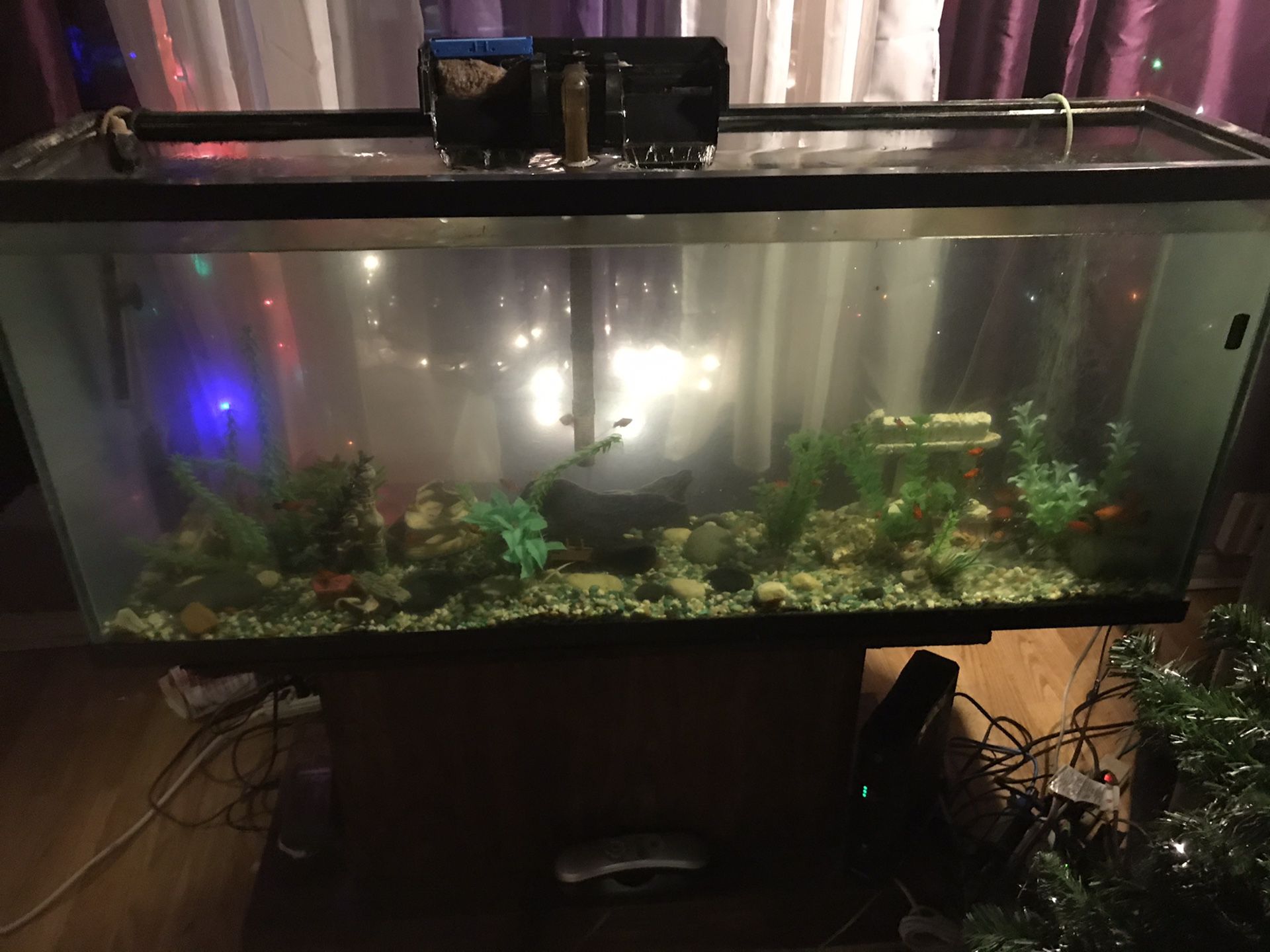 ‘55 gallon fish tank with fish and all the trimmings & decorations $150