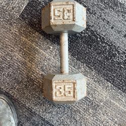 35 Lb Dumbbell Weight 