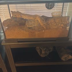 10 Gallon reptile enclosure