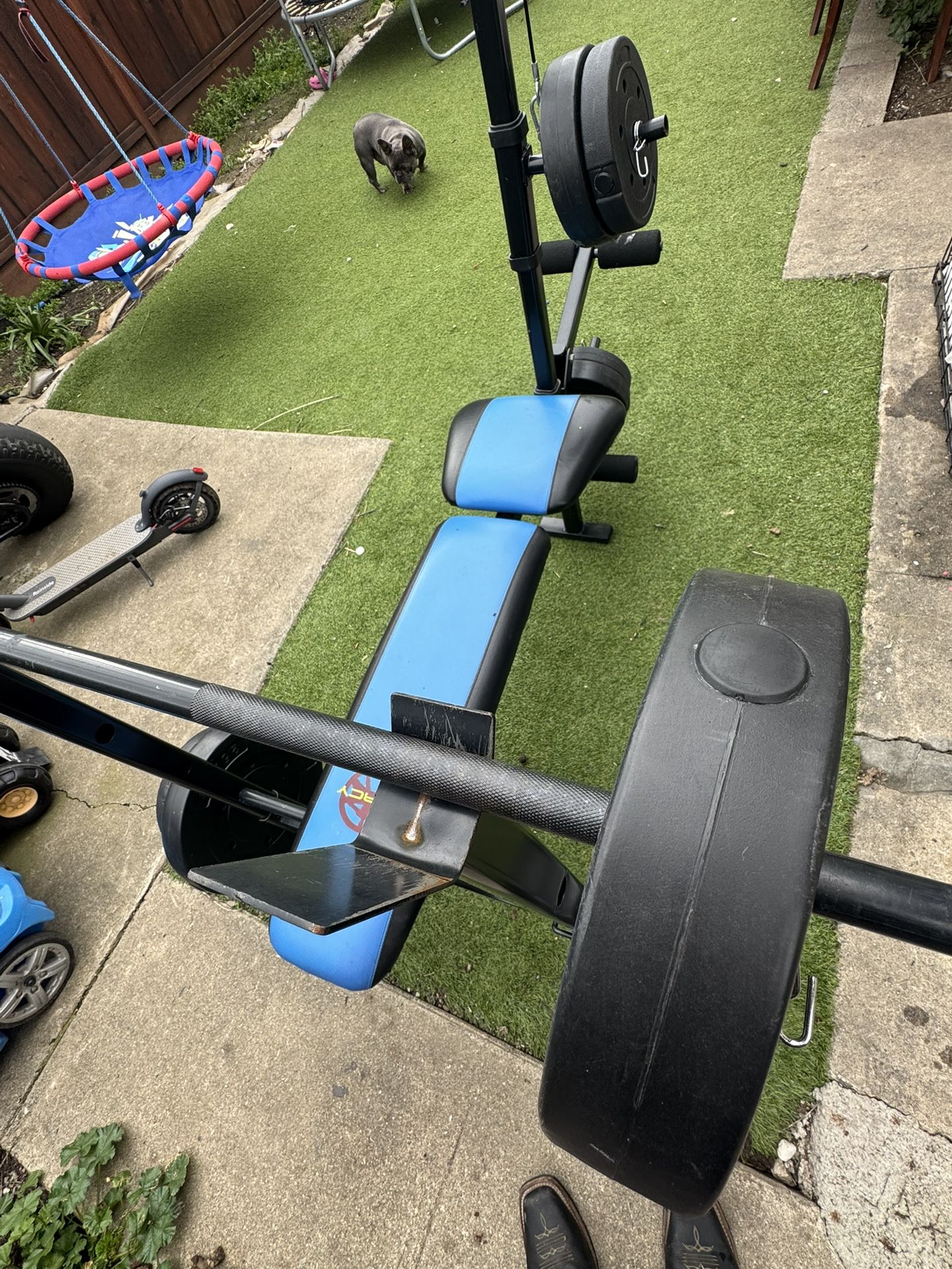 Full Body Bench Press