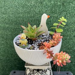 Succulent Bowl ( Easter Setting )