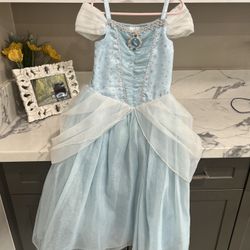 Cinderella Costume