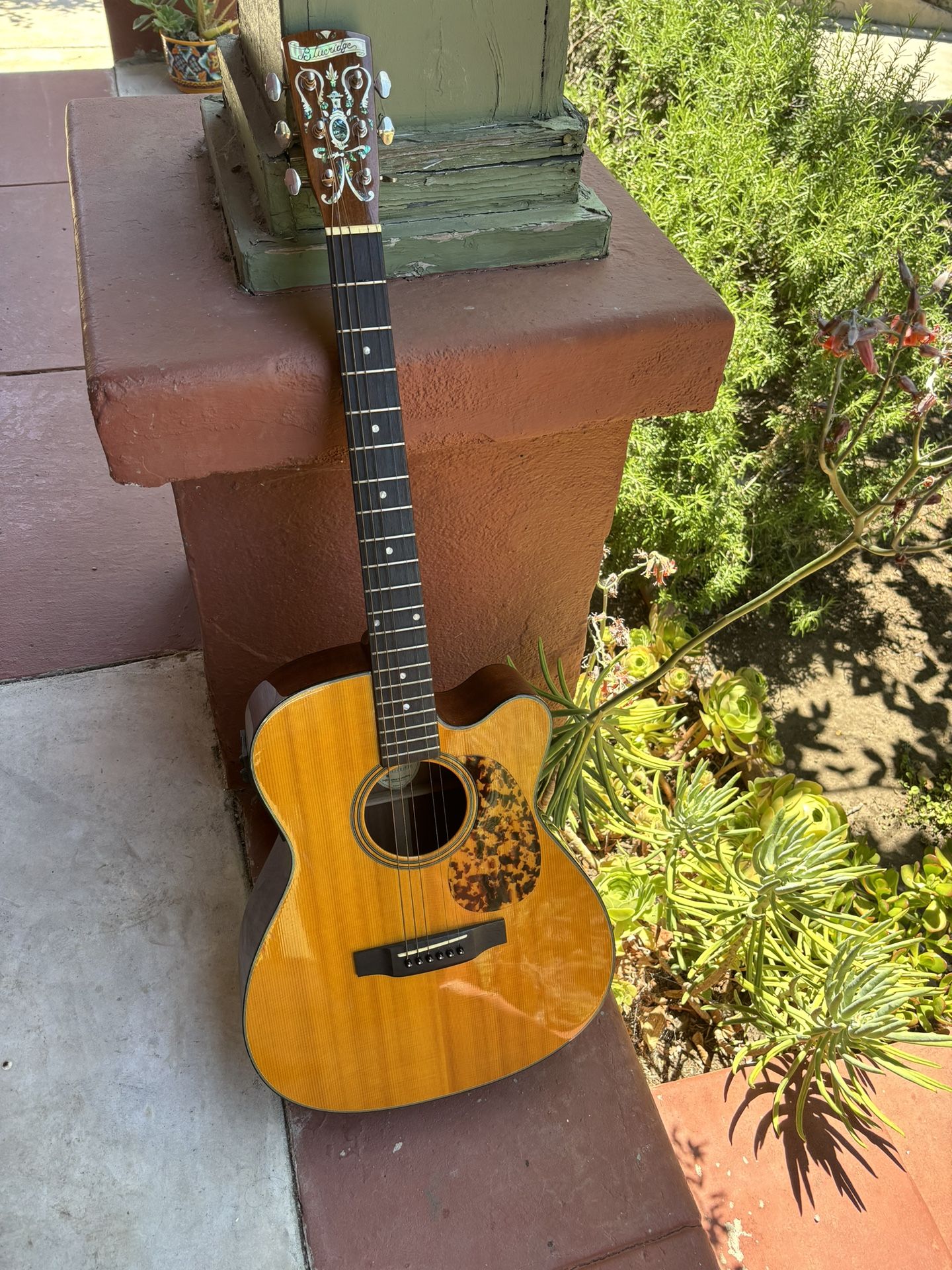 Blueridge Electric Acoustic Guitar