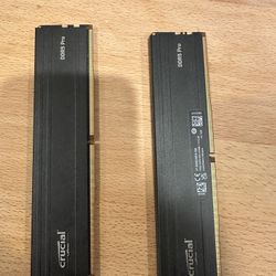 Crucial DDR5 Pro 5600MHz 16GBx2 Ram