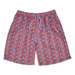 Peter Millar Seaside Collection Swim Trunks Mens Large L Birds Paradise Shorts