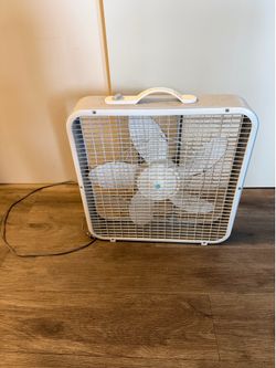 Fan